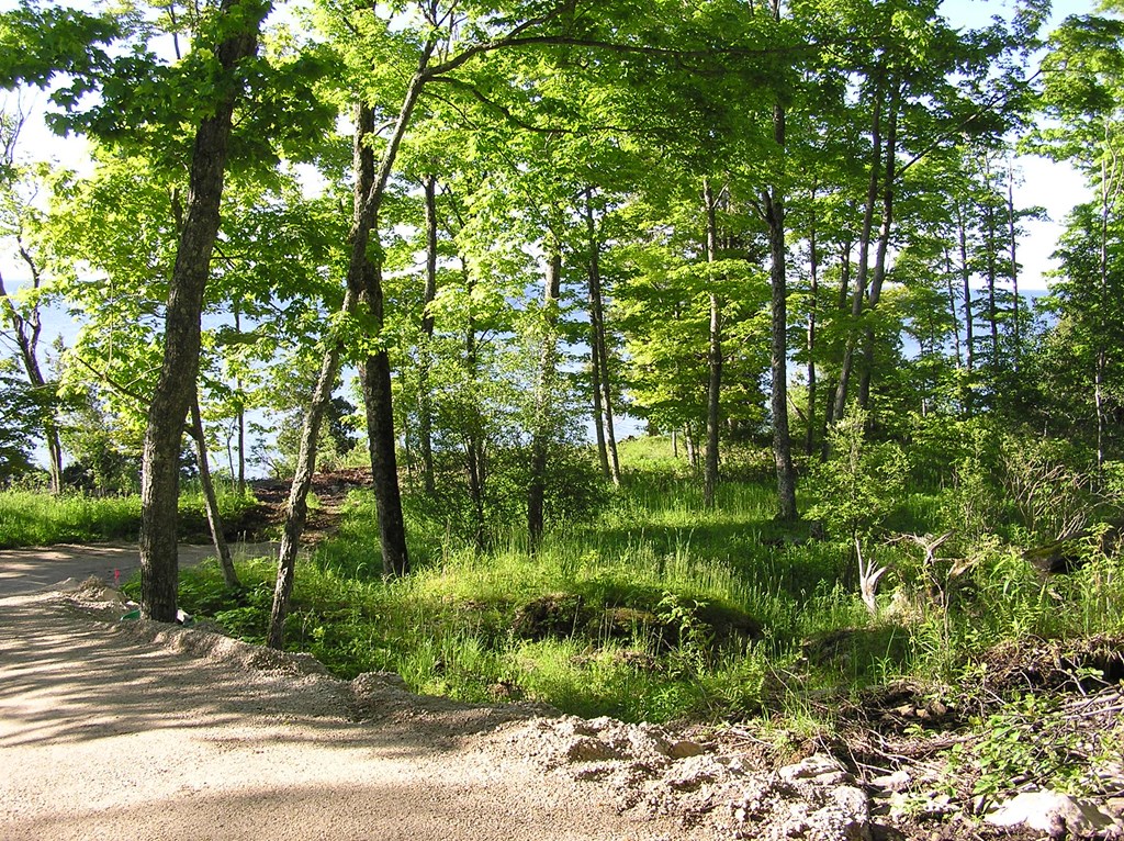 Tbd Sunrise Road Washington Island, WI 54246 - Photo 5 of 6