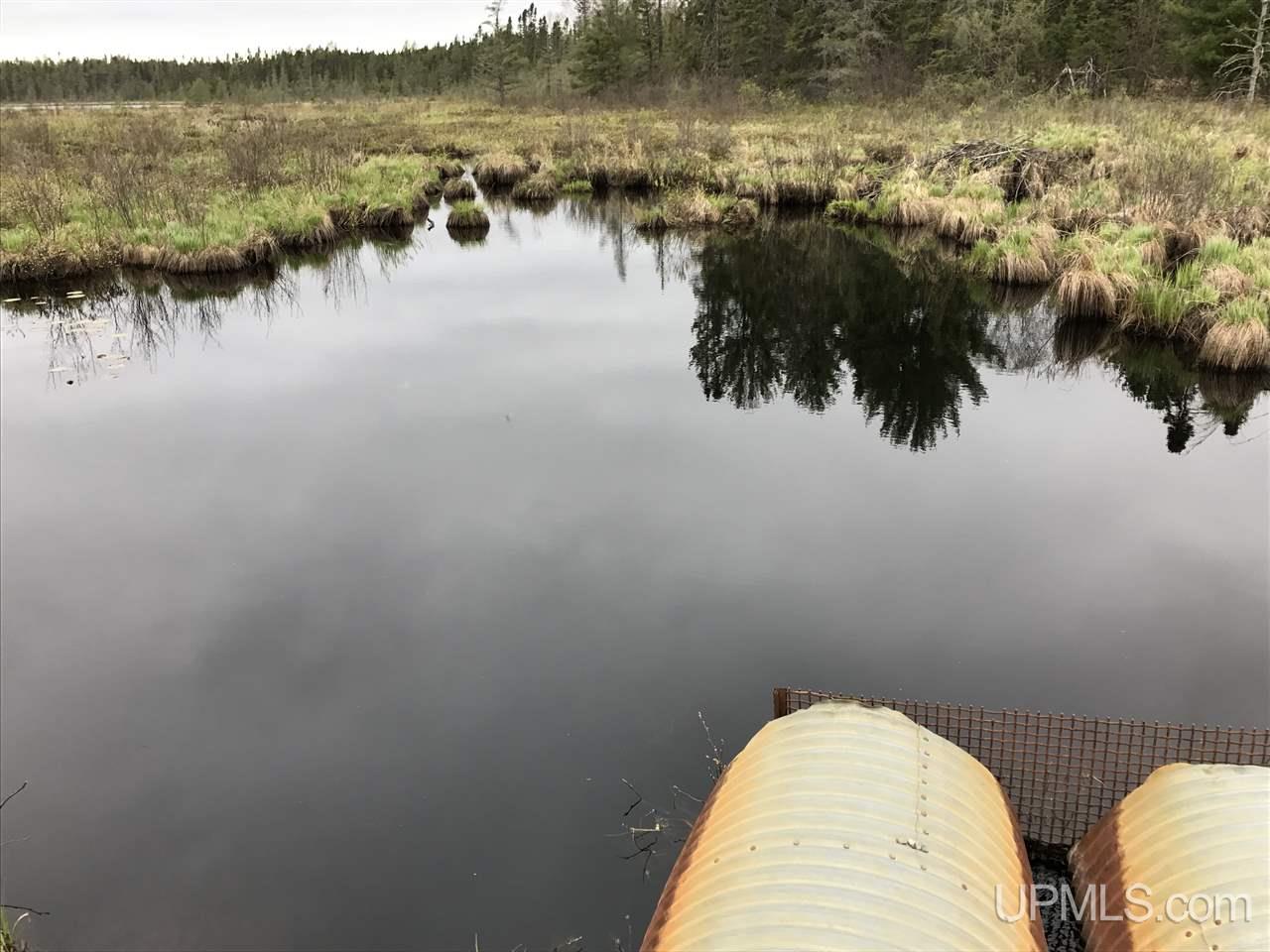 40-ac Kelso Road Crystal Falls, MI 49920 - Photo 20 of 21