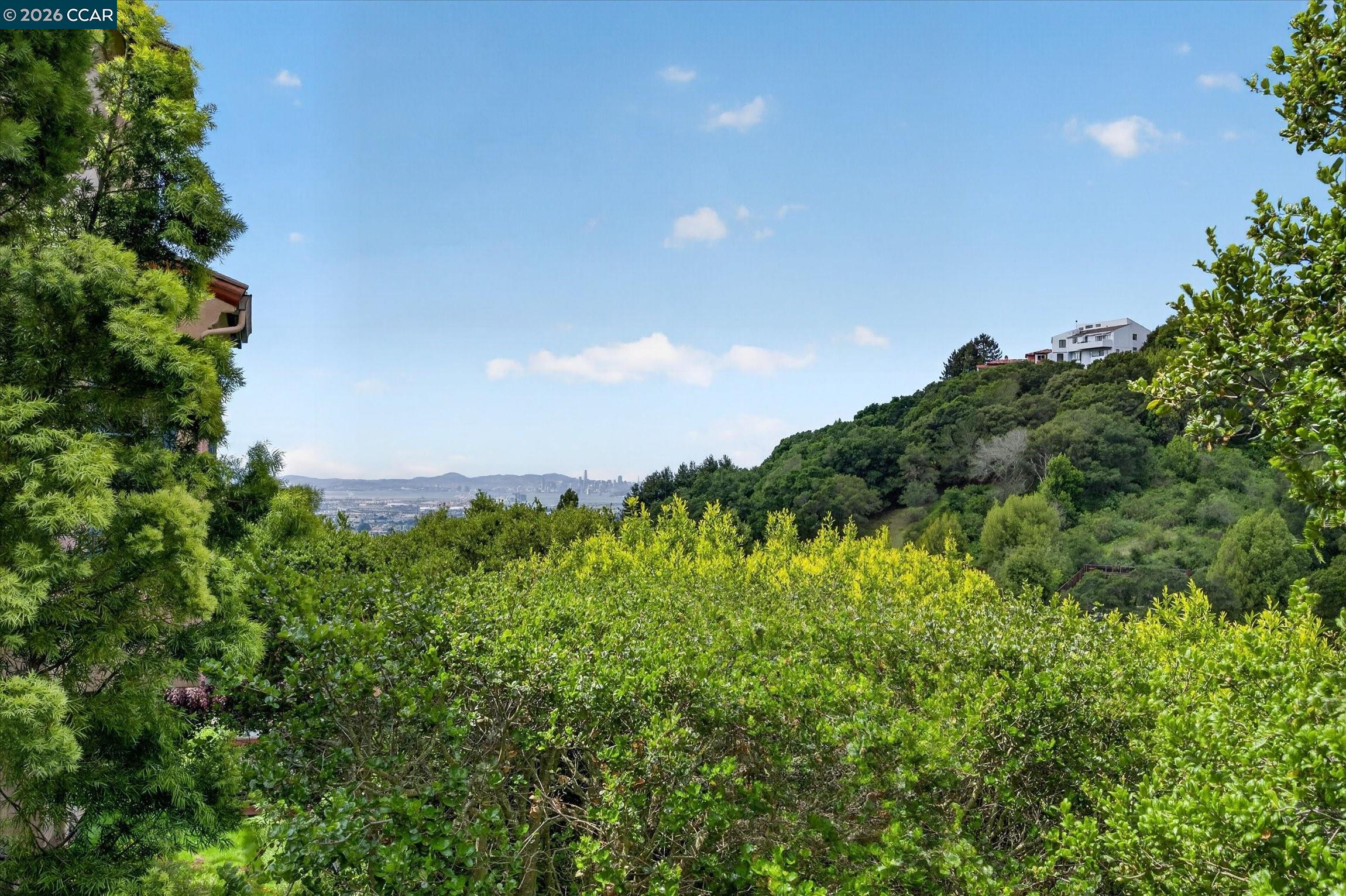 21 Live Oak Road Berkeley, CA 94705 - Photo 40 of 55