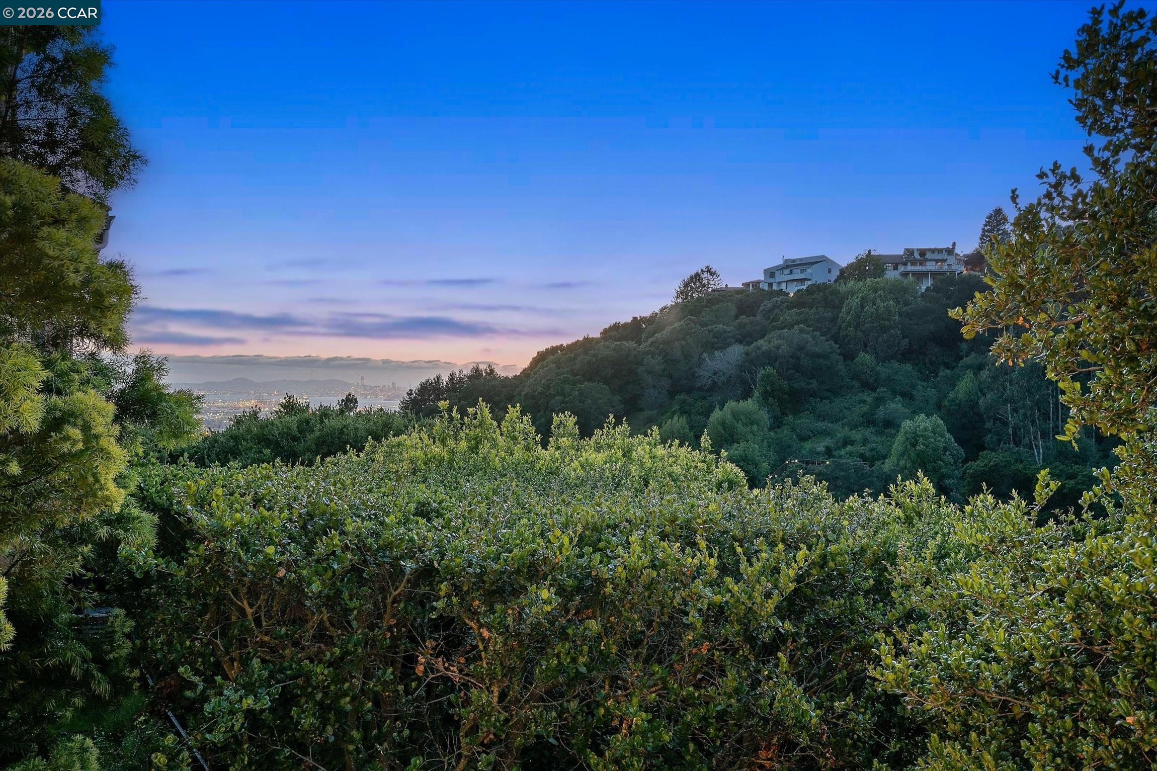 21 Live Oak Road Berkeley, CA 94705 - Photo 50 of 55