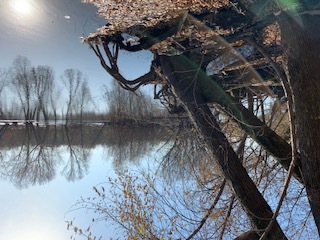 3355 State Road 13 Wisconsin Dells, WI 53965 - Photo 16 of 17 Photo 15