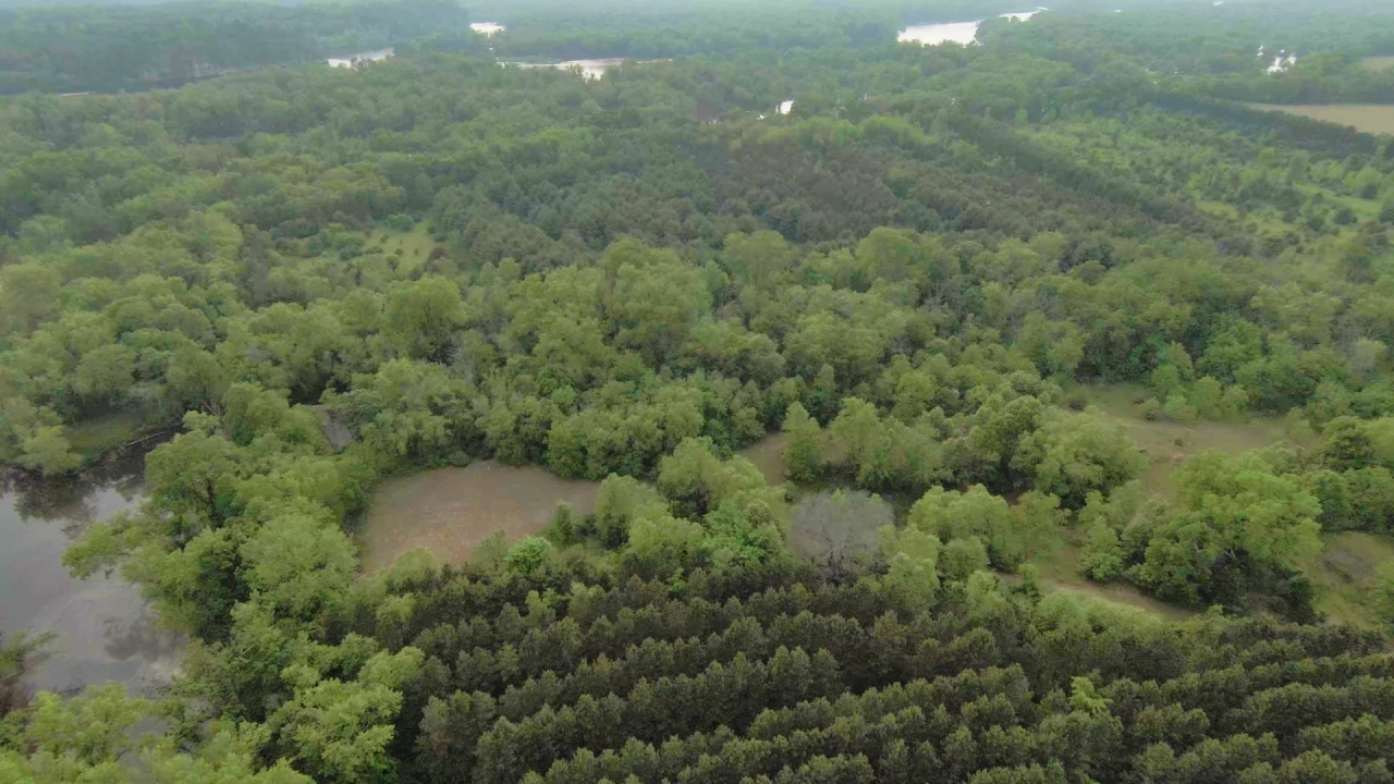 3355 State Road 13 Wisconsin Dells, WI 53965 - Photo 2 of 17 Photo 15