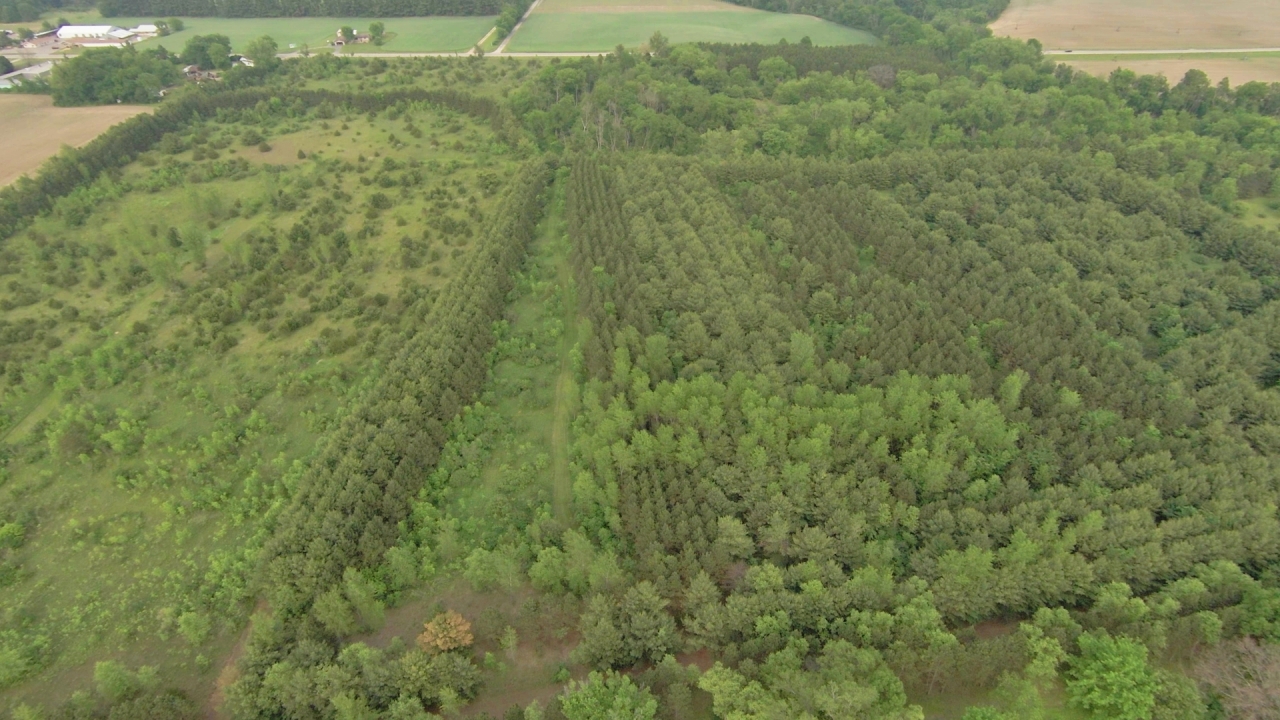 3355 State Road 13 Wisconsin Dells, WI 53965 - Photo 5 of 17 Photo 18