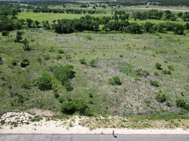 a view of a field with a tree