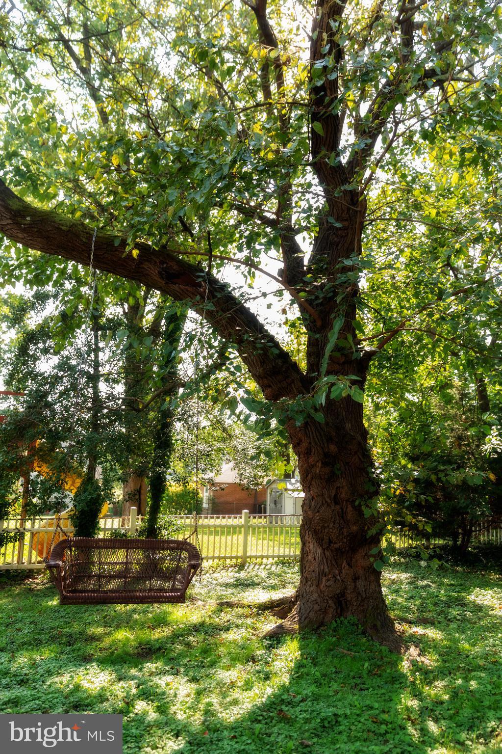 302 South Hammonds Ferry Road Linthicum Heights, MD 21090 - Photo 29 of 29 a view of a backyard