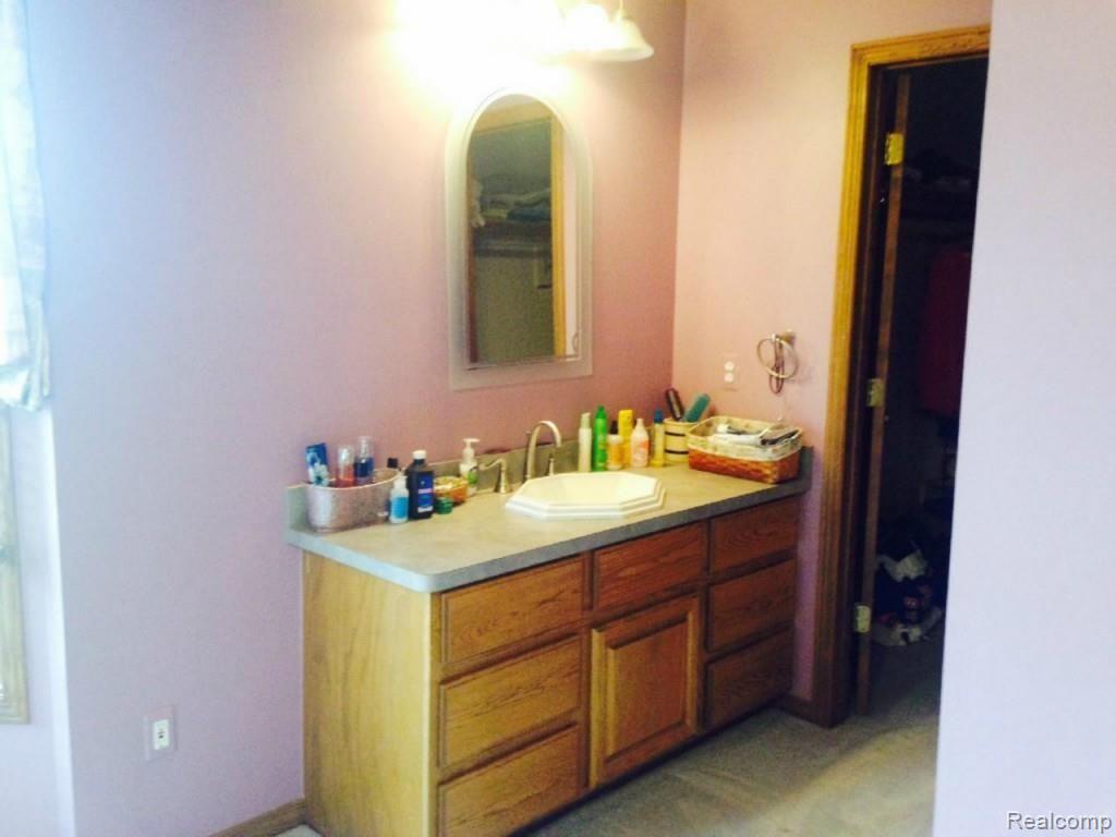 12735 Dunn Road Memphis, MI 48041 - Photo 13 of 31 master vanity