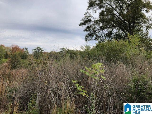 0 Hackney Street, Unit 8 29 ACRES Lincoln, AL 35096 - Photo 5 of 18
