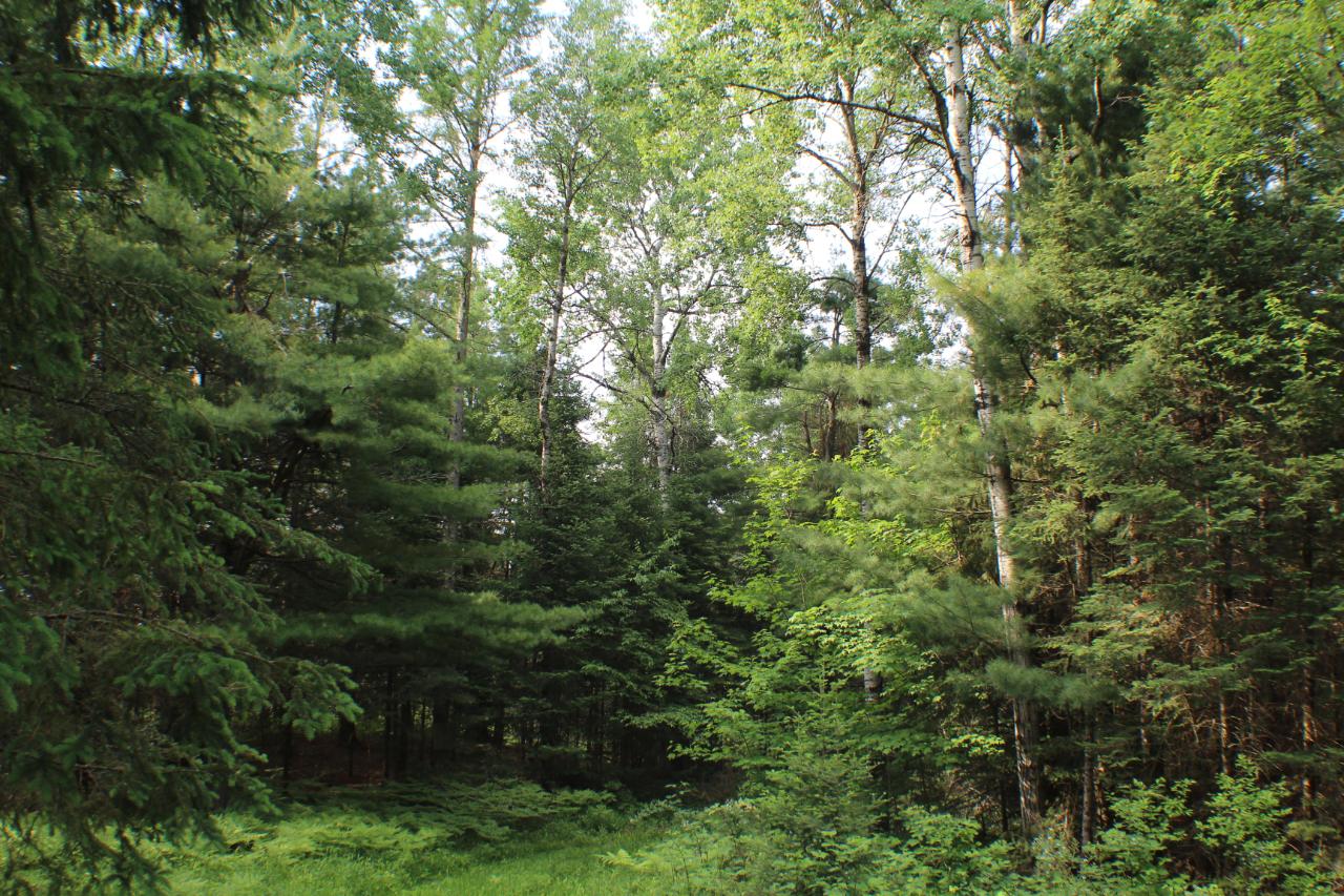 W8691 Camp 5 Road Phillips, WI 54555 - Photo 23 of 32 Gallery Image 23
