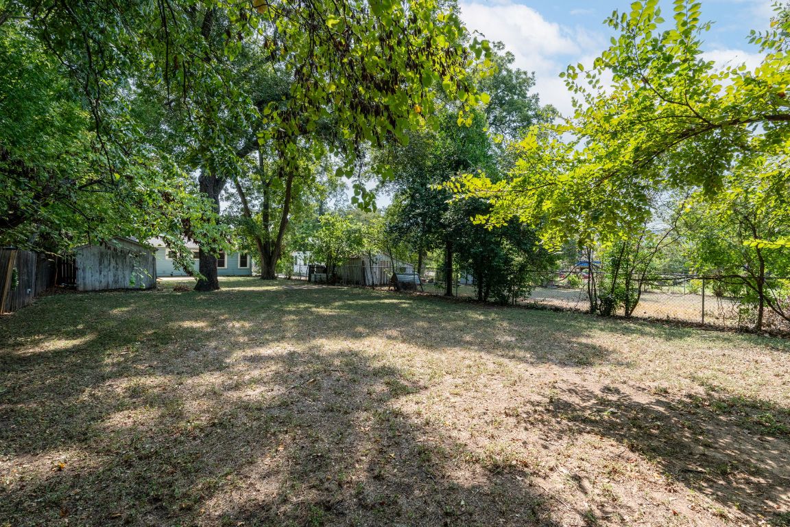 746 Springdale Road Austin, TX 78702 - Photo 18 of 20 a view of a tree in the middle of a yard