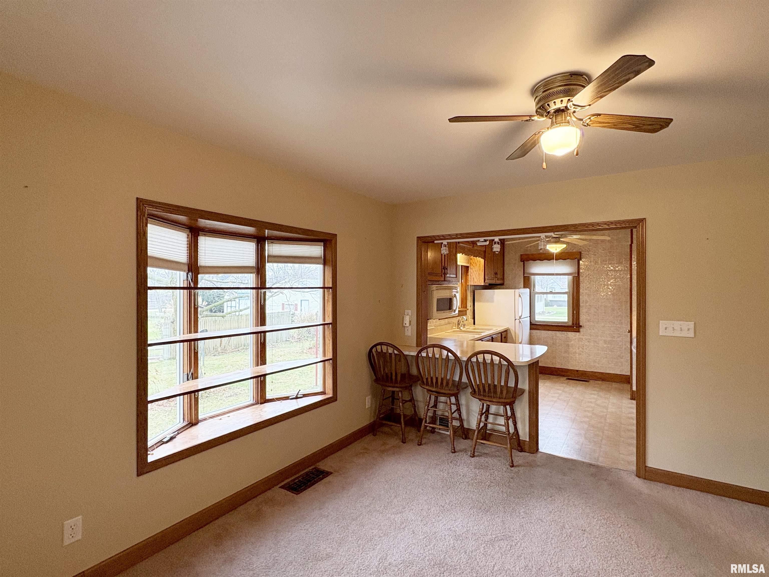 507 Vine Street Varna, IL 61375 - Photo 11 of 46