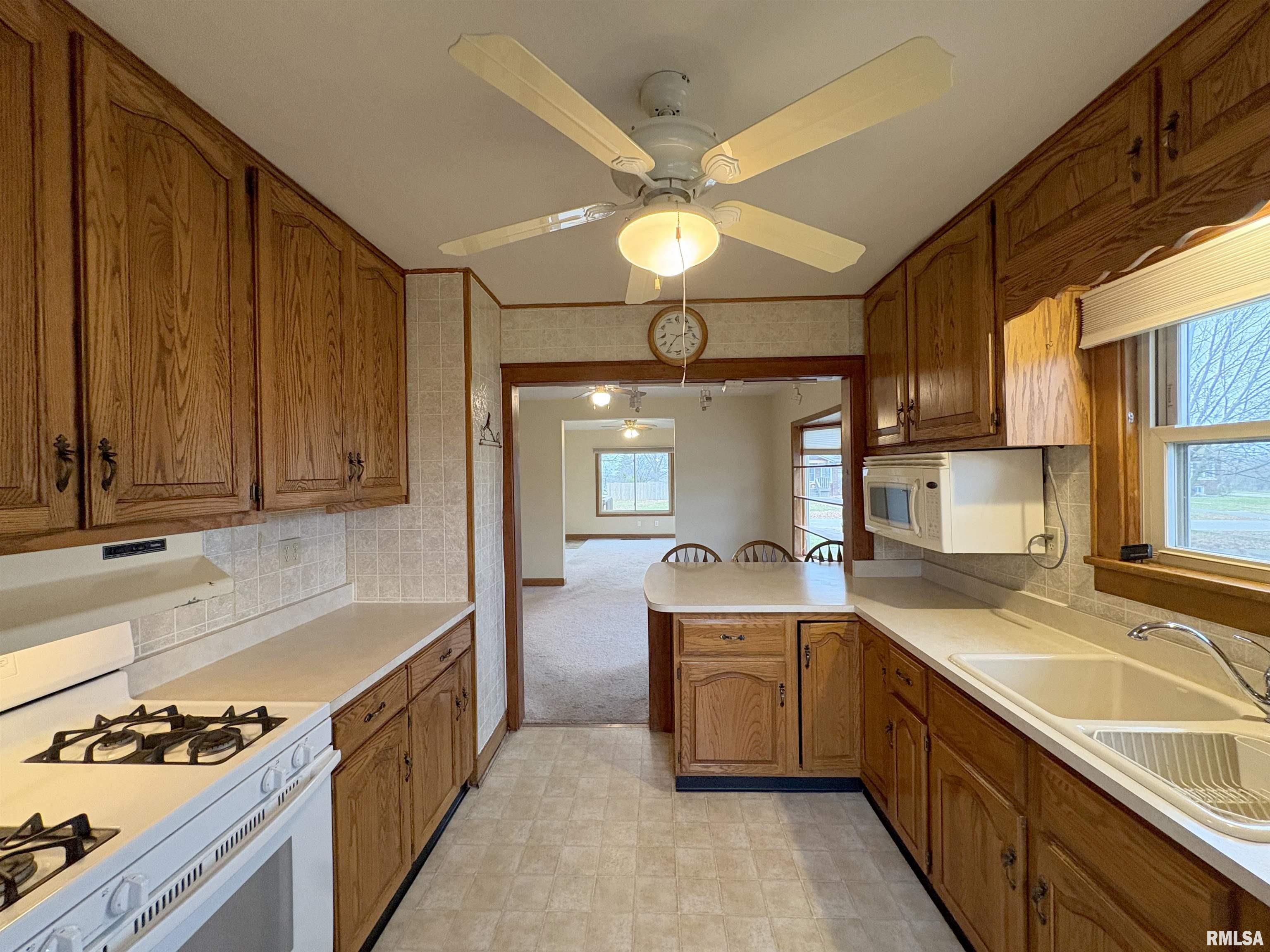 507 Vine Street Varna, IL 61375 - Photo 13 of 46