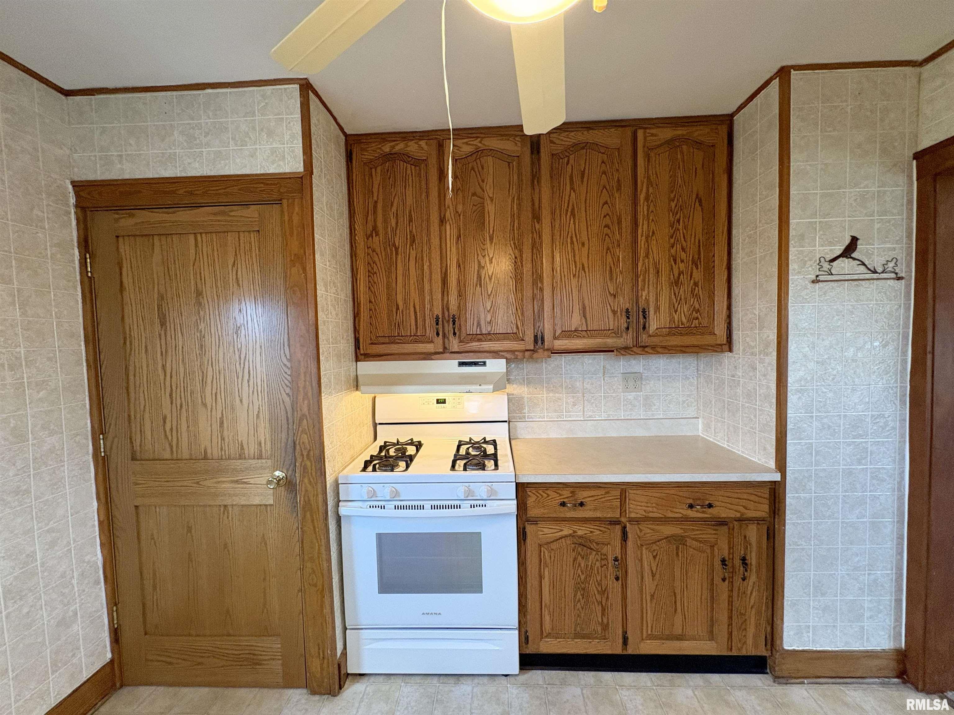 507 Vine Street Varna, IL 61375 - Photo 15 of 46