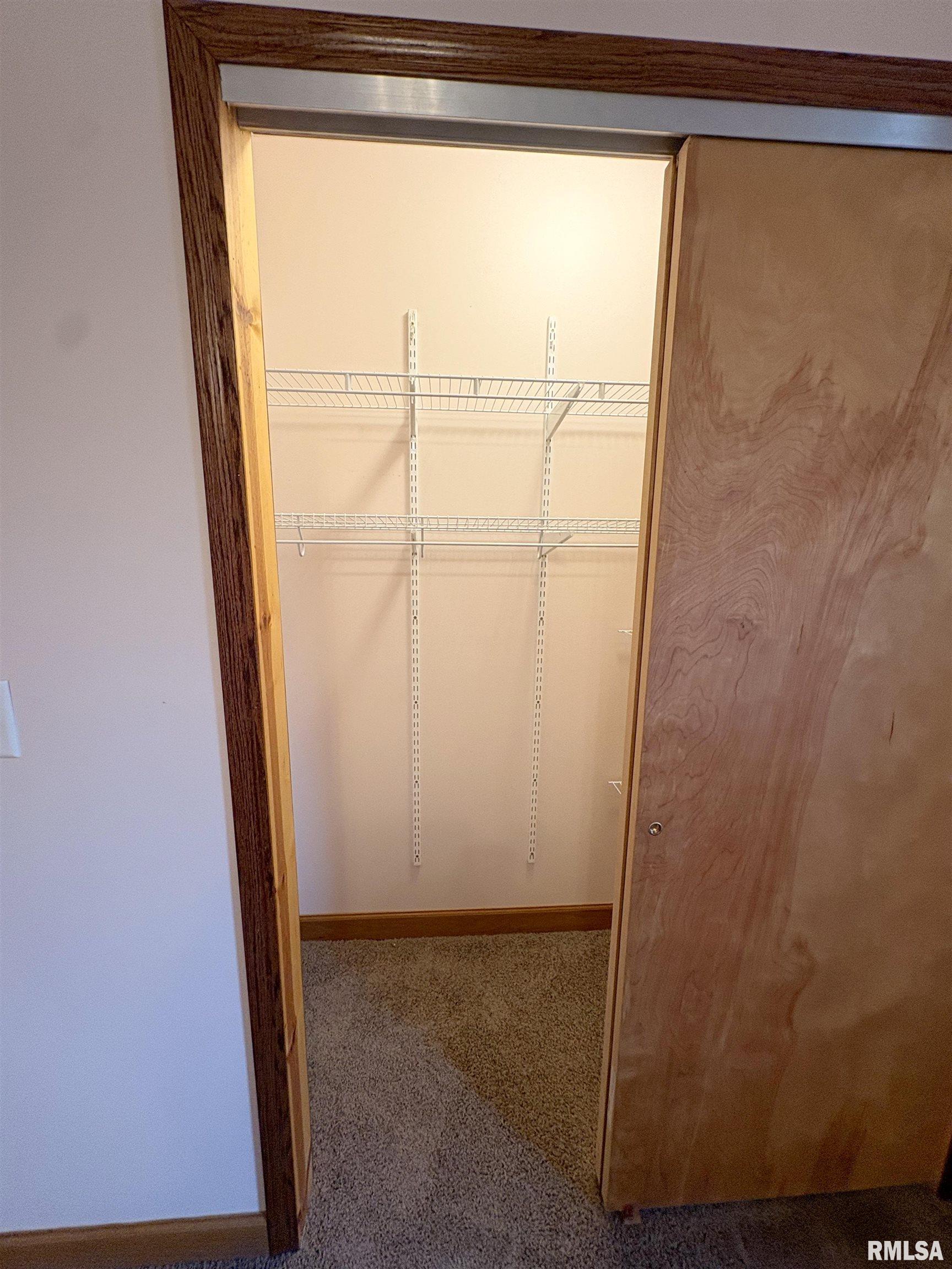507 Vine Street Varna, IL 61375 - Photo 19 of 46