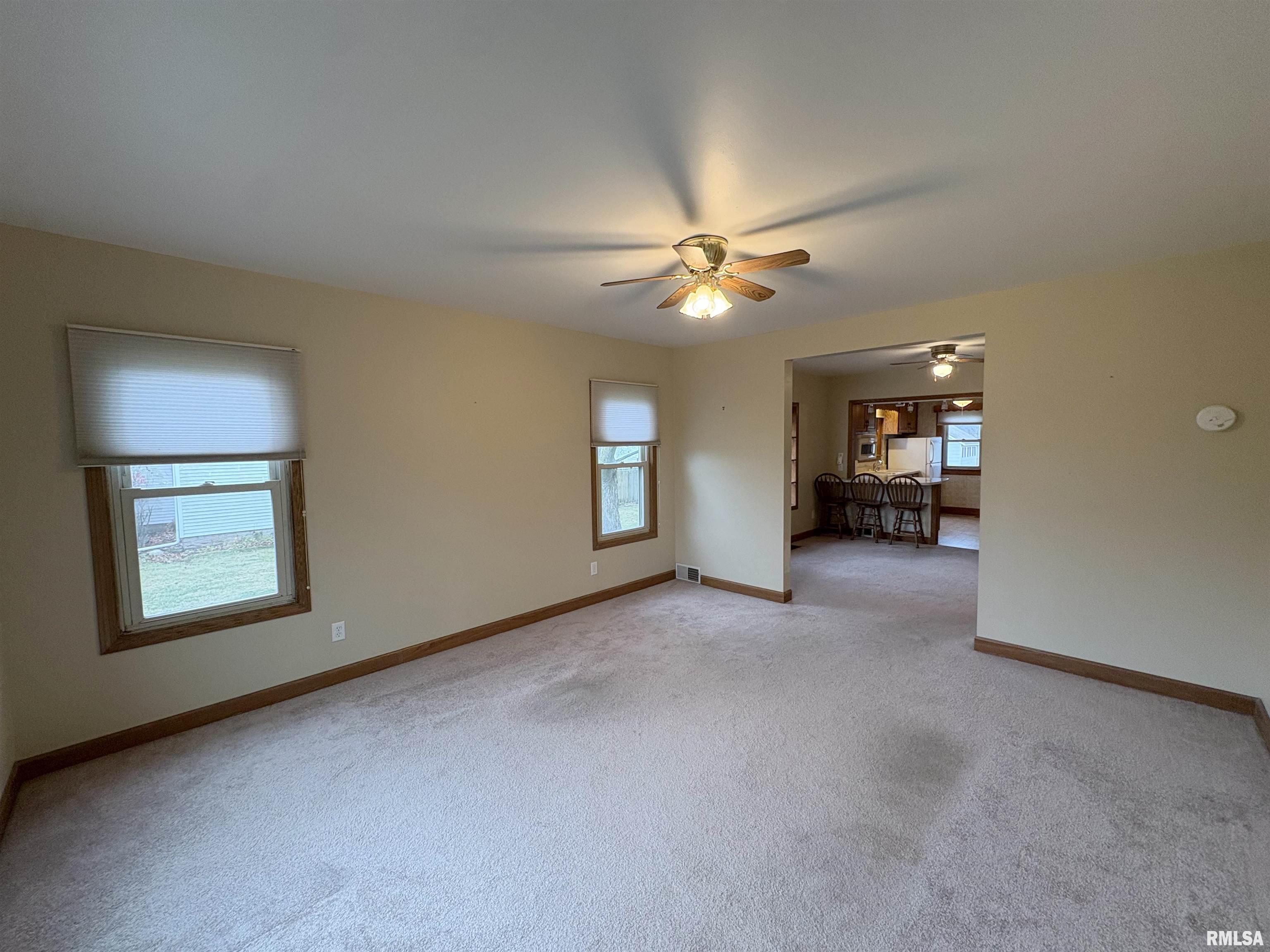 507 Vine Street Varna, IL 61375 - Photo 5 of 46