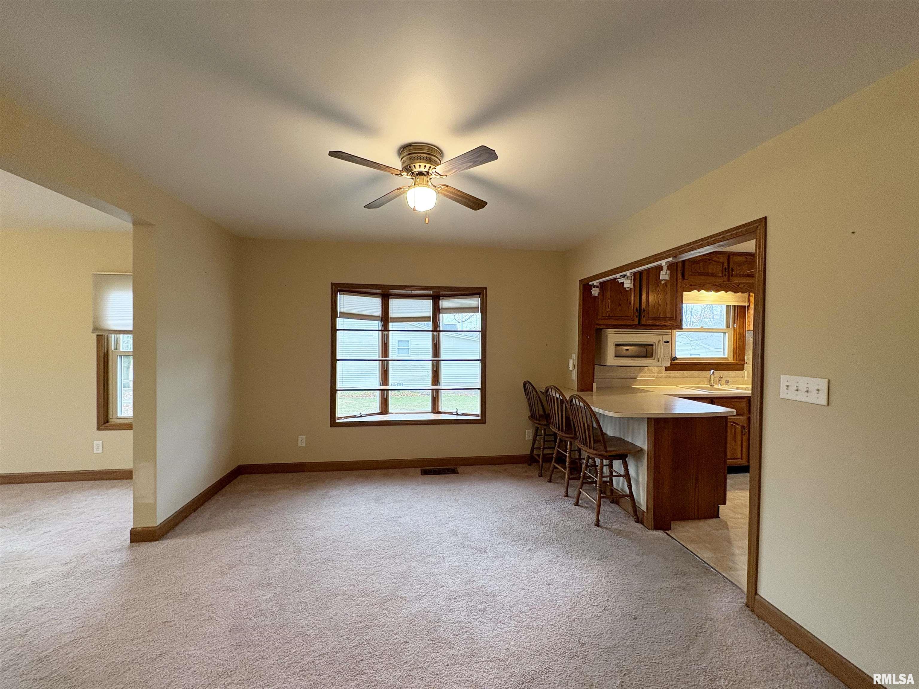 507 Vine Street Varna, IL 61375 - Photo 8 of 46
