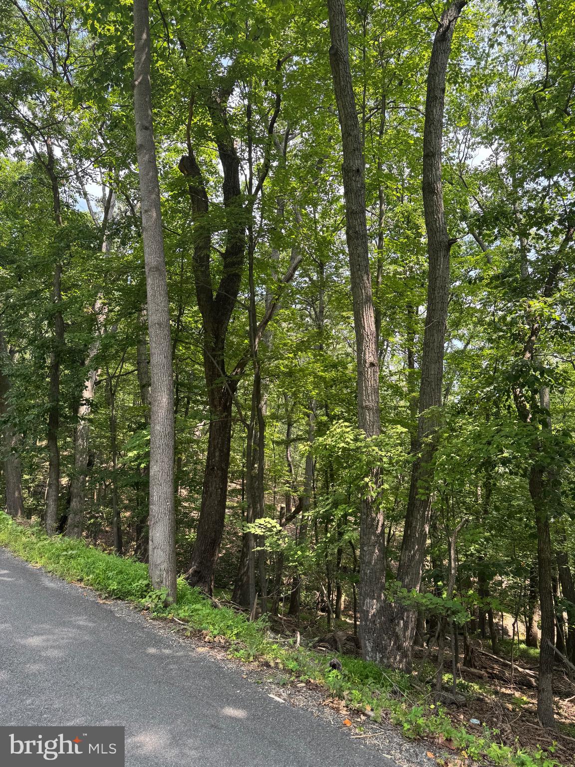 1832 Ridge Road Haymarket, VA 20169 - Photo 11 of 12