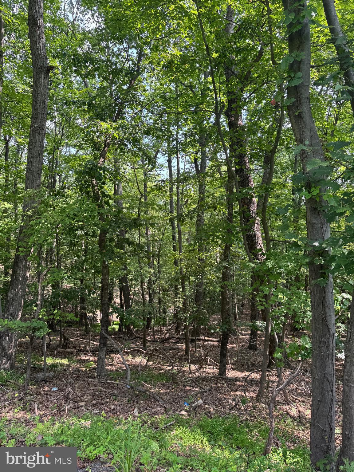 1832 Ridge Road Haymarket, VA 20169 - Photo 12 of 12