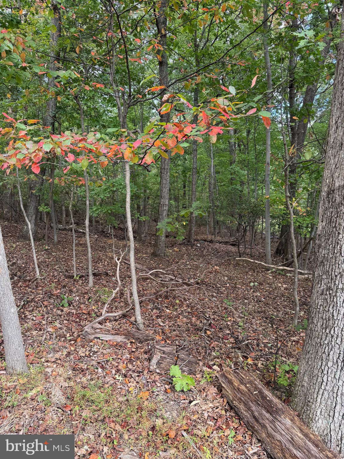 1832 Ridge Road Haymarket, VA 20169 - Photo 2 of 12 3.47 Acres in Haymarket