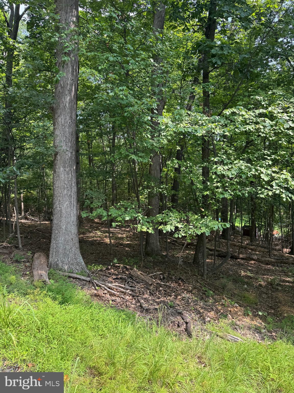 1832 Ridge Road Haymarket, VA 20169 - Photo 3 of 12 Bull Run Mountain Estates