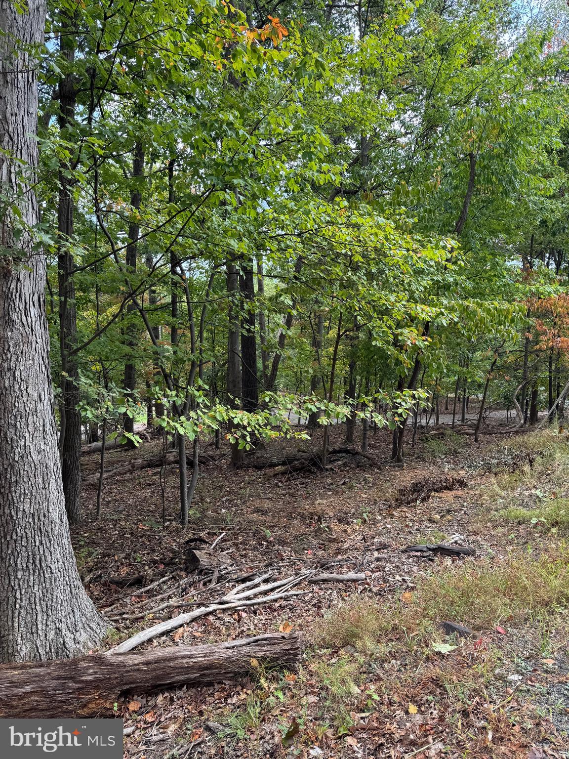 1832 Ridge Road Haymarket, VA 20169 - Photo 5 of 12