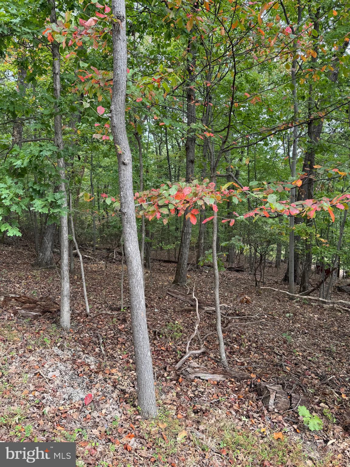 1832 Ridge Road Haymarket, VA 20169 - Photo 6 of 12