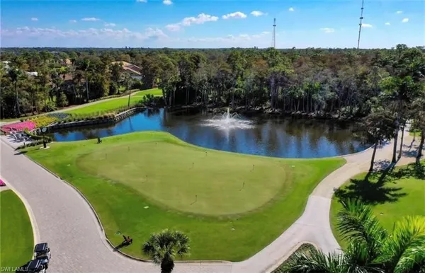 a view of a swimming pool with a yard and plants