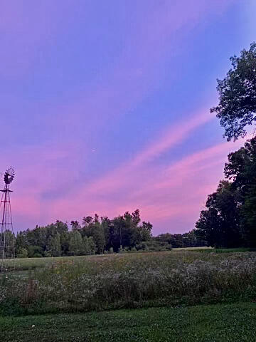 80038 Stapleton Road Decatur, MI 49045 - Photo 56 of 62 IMG_2272