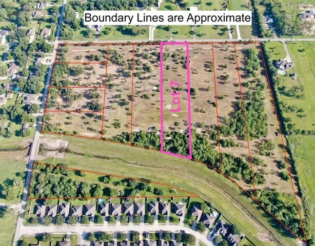 a view of a field with grass and trees