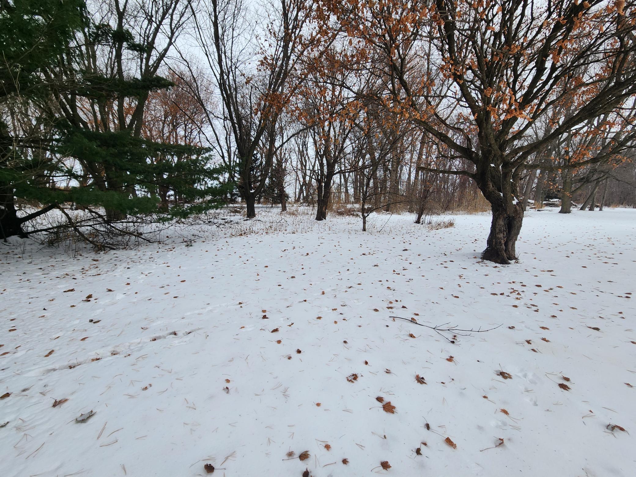 14006 Highway 56 Le Roy, MN 55951 - Photo 22 of 31