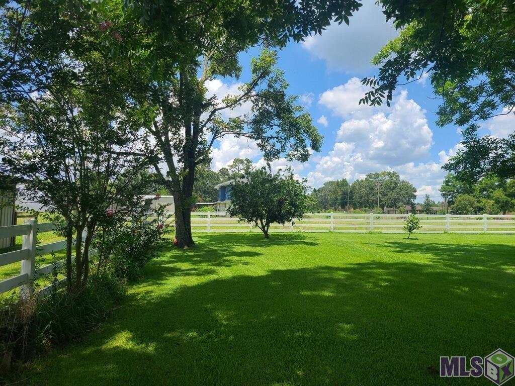 16131 Joe Sevario Road Prairieville, LA 70769 - Photo 17 of 21 Gallery Image 17