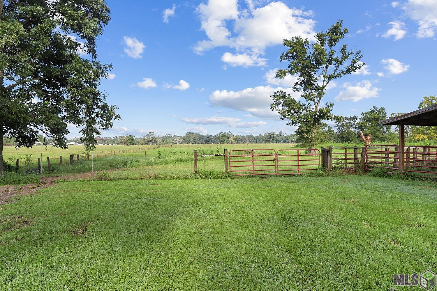 16131 Joe Sevario Road Prairieville, LA 70769 - Photo 18 of 21 Gallery Image 18