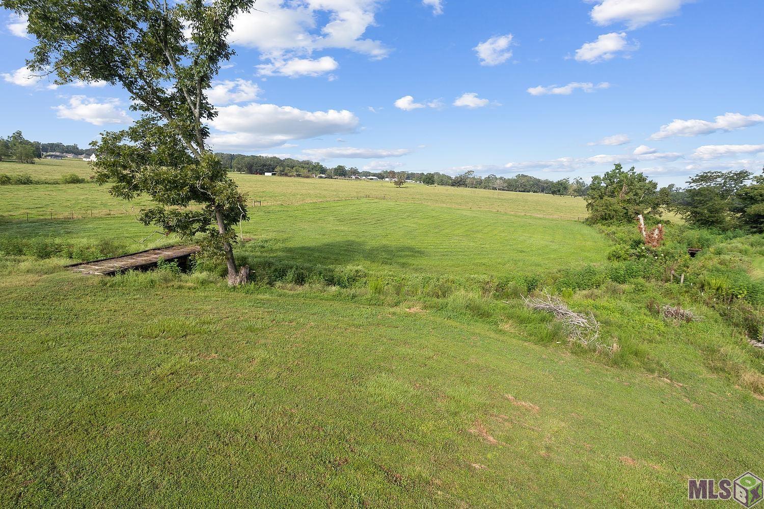 16131 Joe Sevario Road Prairieville, LA 70769 - Photo 20 of 21 Gallery Image 20