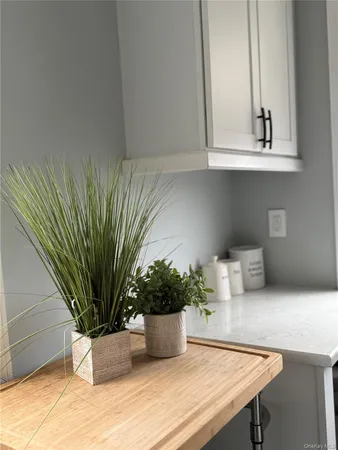 a potted plant sitting on top of a kitchen table