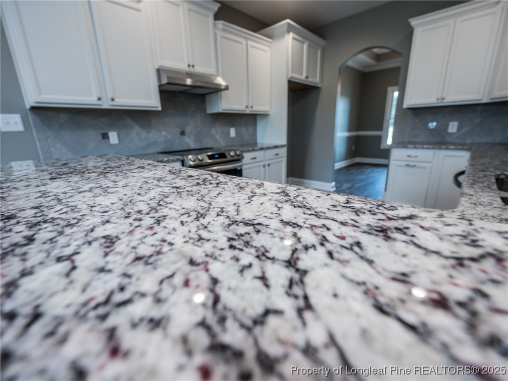831 Norment Road Lumberton, NC 28360 - Photo 13 of 46 Gallery Image 13