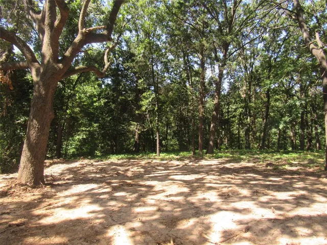 a view of backyard with trees
