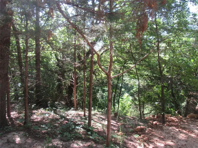 a view of a yard with a trees