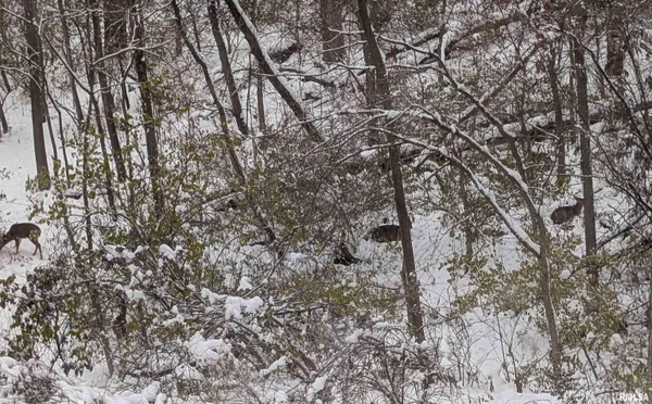 $239,900 | 1919 Sierra Court, Pekin, IL 61554