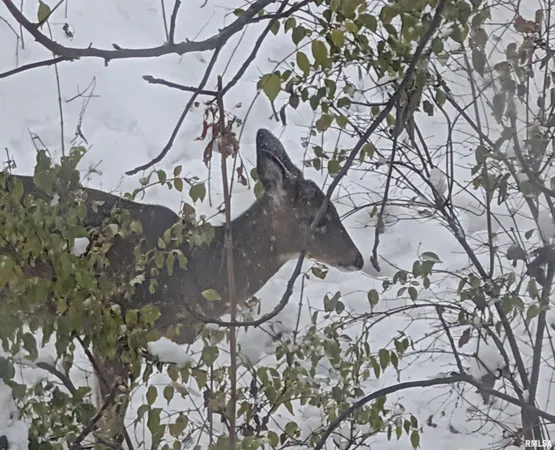 $239,900 | 1919 Sierra Court, Pekin, IL 61554