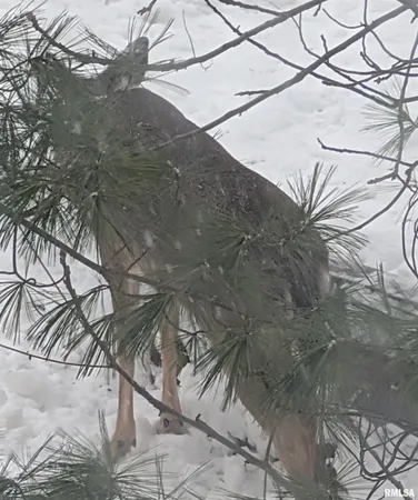 $239,900 | 1919 Sierra Court, Pekin, IL 61554