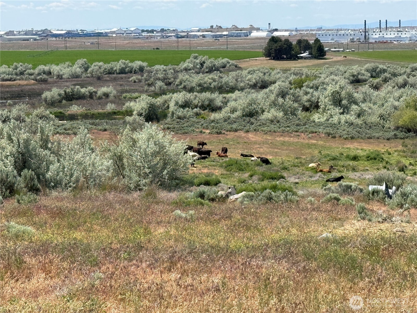 8708 Rd K Northeast Moses Lake, WA 98837 - Photo 25 of 40 a view of lake with residential houses with outdoor space