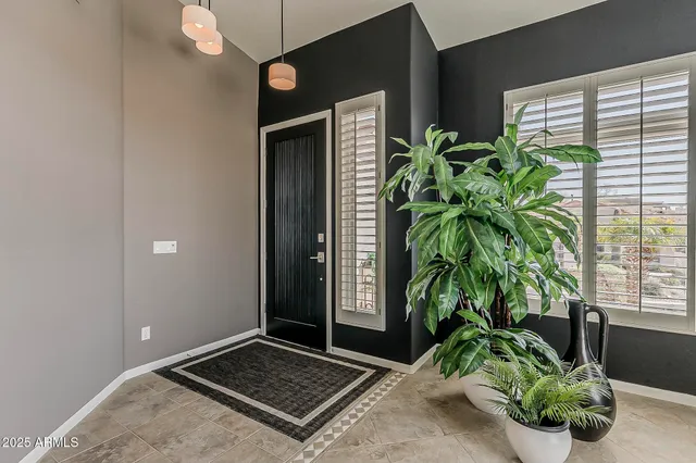 a potted plant sitting in front of a door