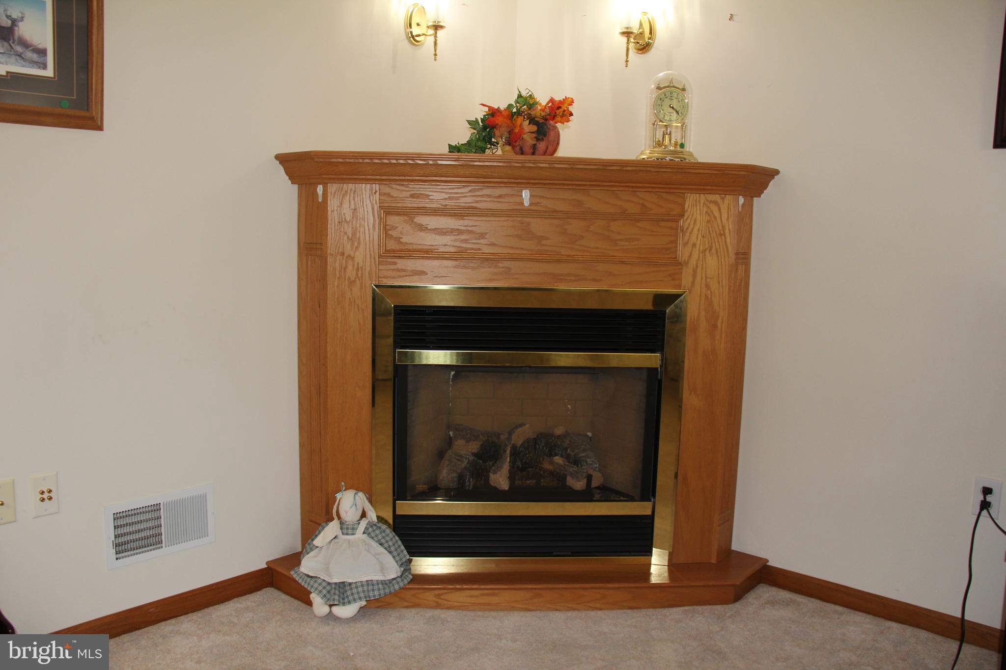668 Snyder Hill Road Lititz, PA 17543 - Photo 13 of 32 a living room with a fireplace