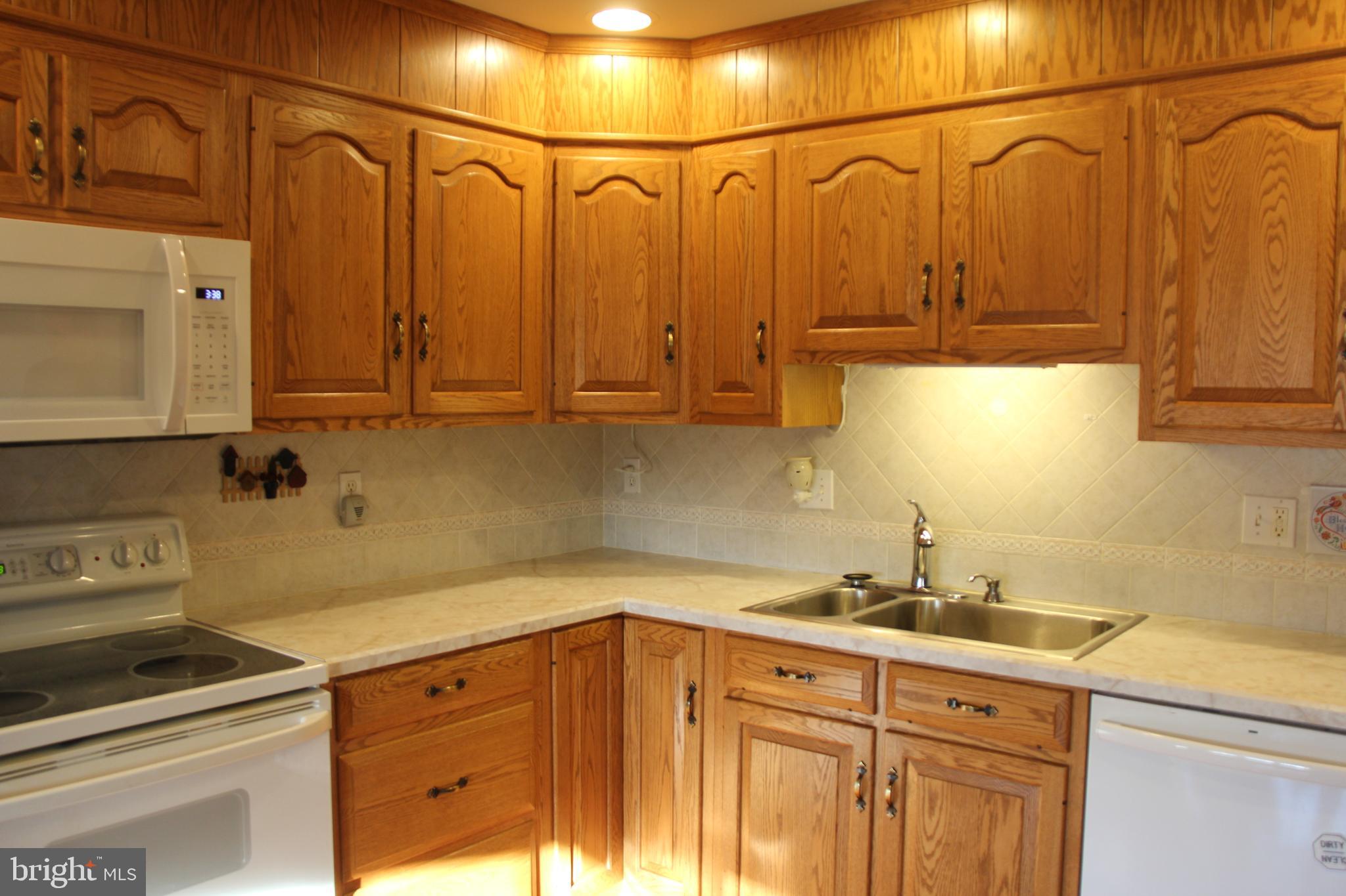 668 Snyder Hill Road Lititz, PA 17543 - Photo 15 of 32 a kitchen with a sink and cabinets