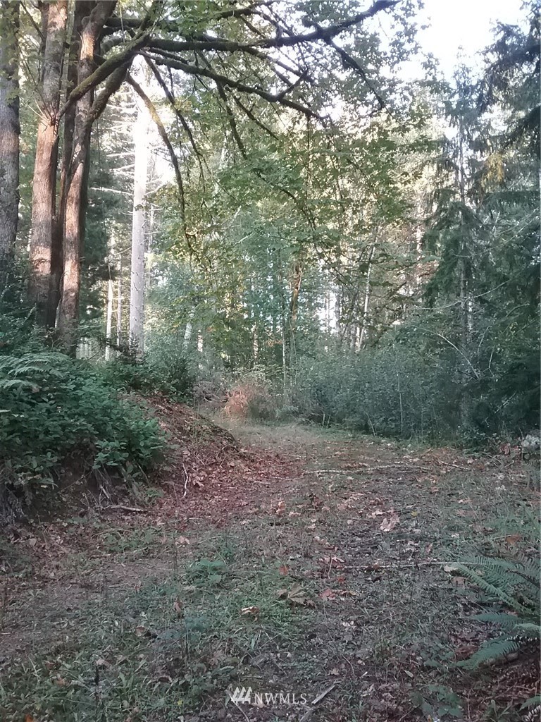 0 North Mission Road West Bremerton, WA 98312 - Photo 2 of 25 Gallery Image 2