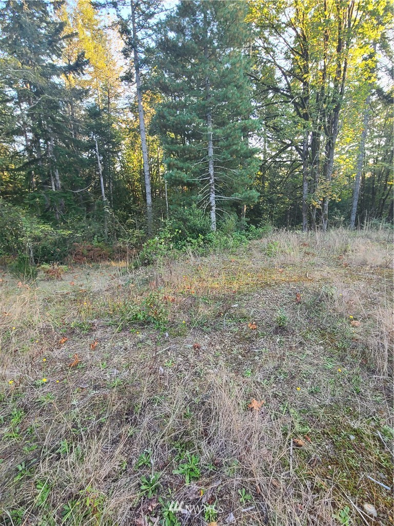 0 North Mission Road West Bremerton, WA 98312 - Photo 4 of 25 Gallery Image 4