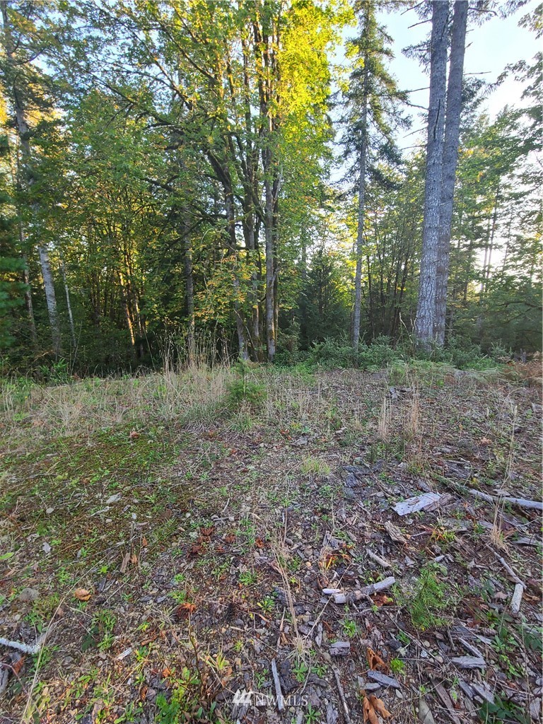 0 North Mission Road West Bremerton, WA 98312 - Photo 5 of 25 Gallery Image 5
