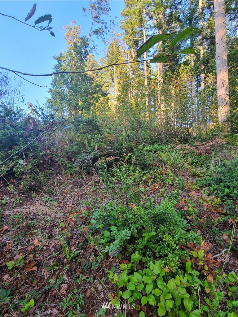 0 North Mission Road West Bremerton, WA 98312 - Photo 6 of 25 Gallery Image 6