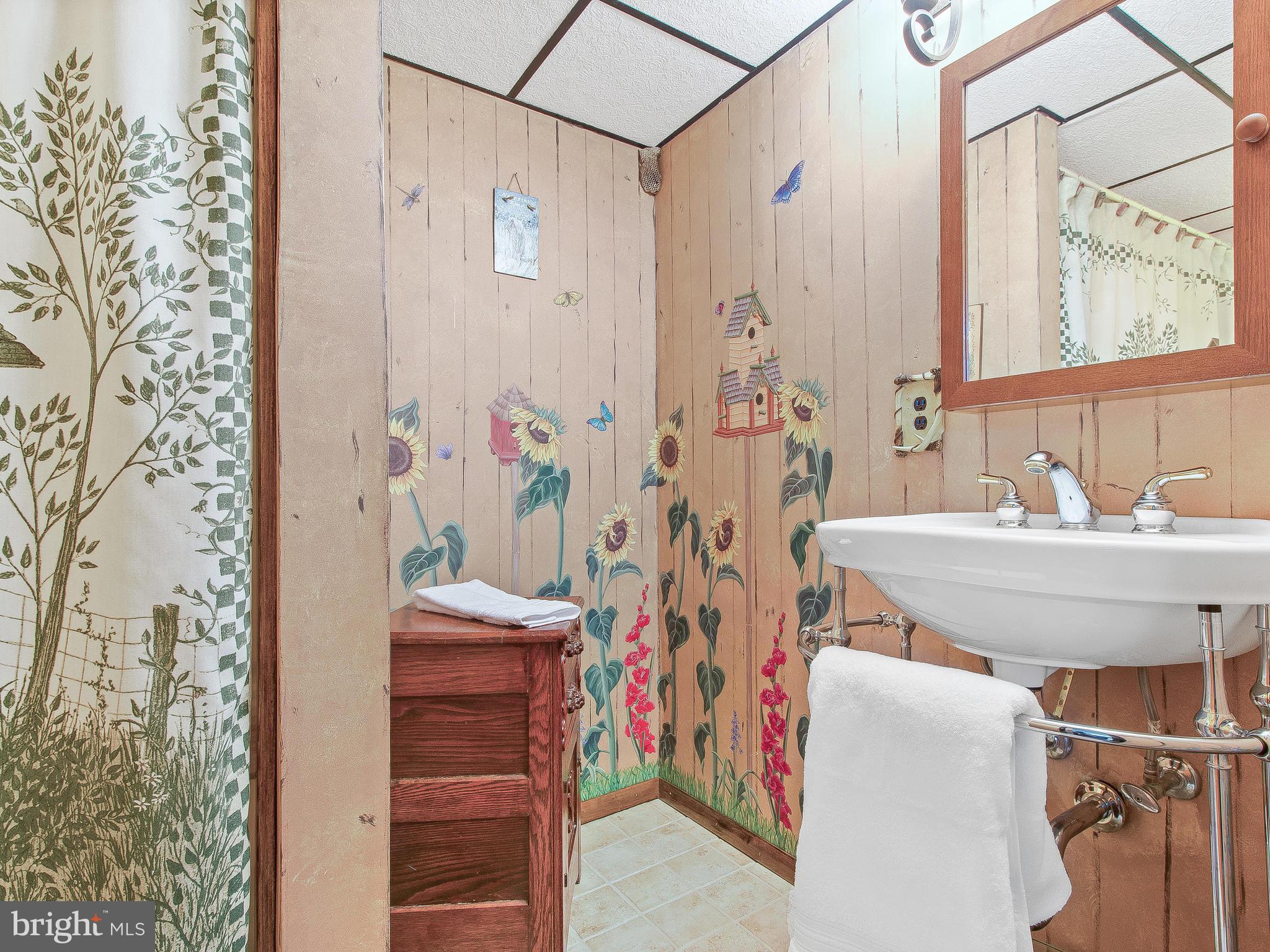 710 Petersburg Road Davidsonville, MD 21035 - Photo 26 of 30 Full lower level bath - brings you back