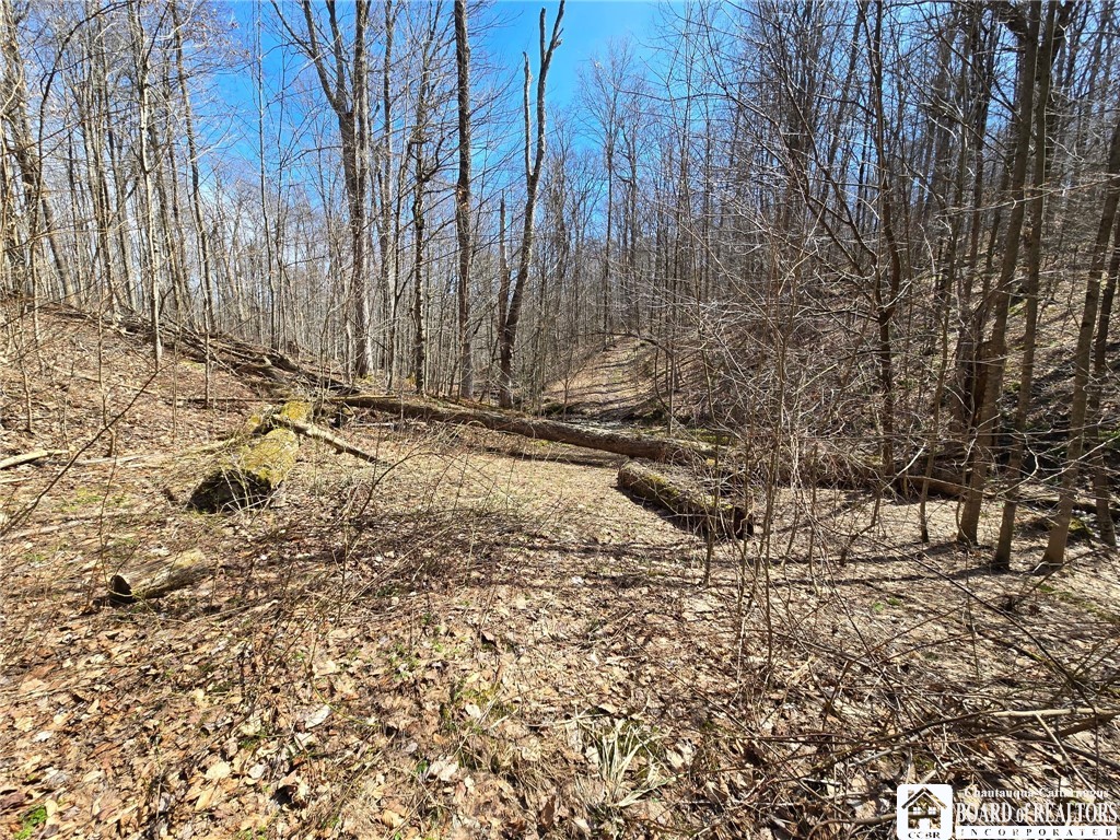 0 West Cobb Road Falconer, NY 14733 - Photo 37 of 49