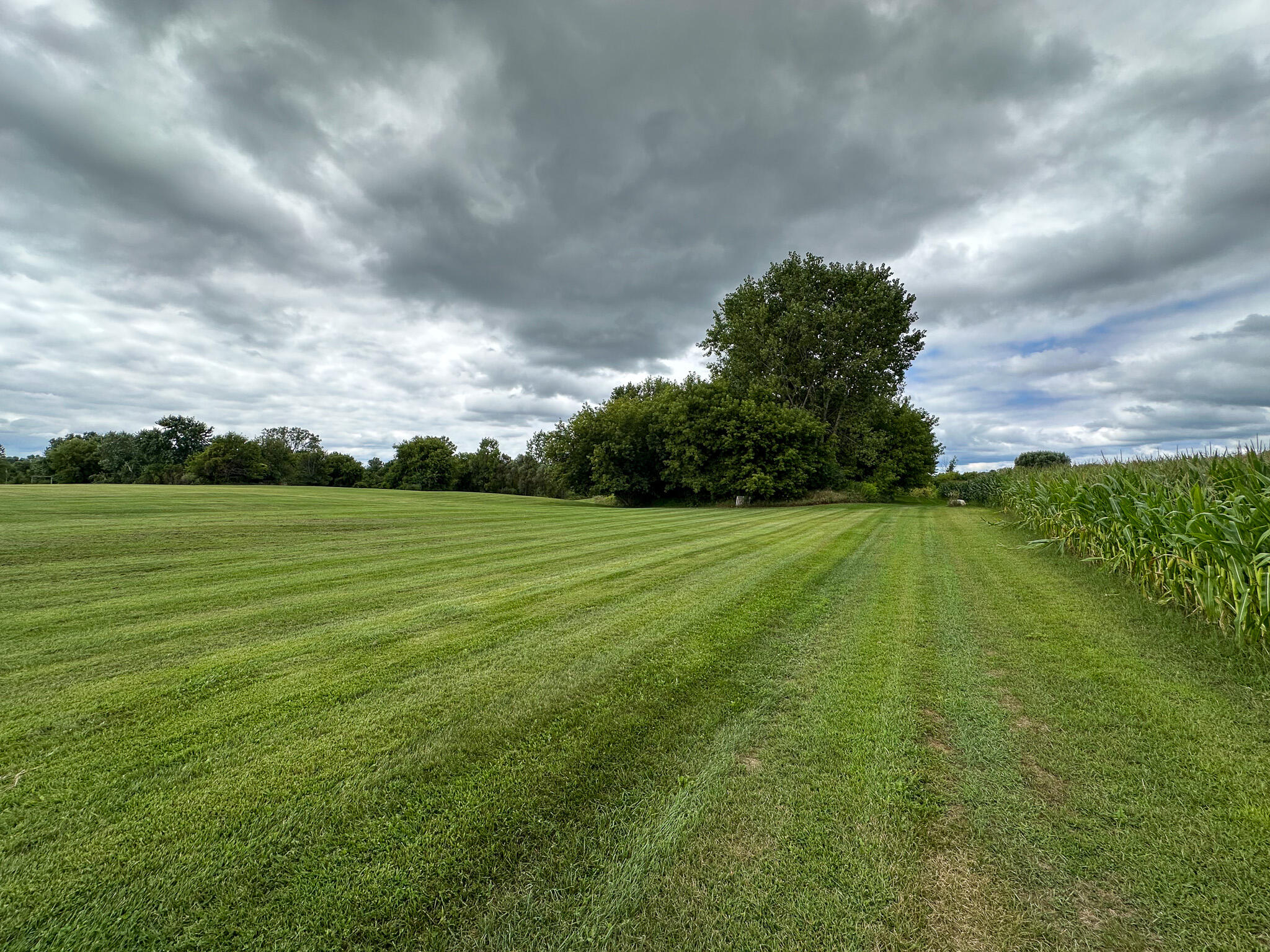 4181 East Mt Morris Road Mount Morris, MI 48458 - Photo 23 of 33 Back Lawn